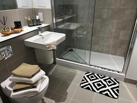 Additional image 8 of The Holloway, Blucher St Birmingham B1