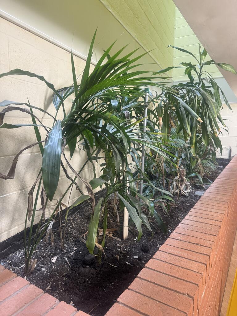 Additional image 4 of Tenby Street North, Birmingham