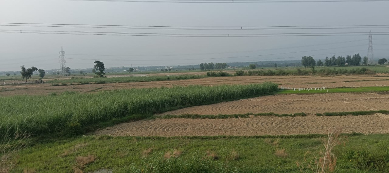 Additional image 2 of Sabhawala, Dehradun