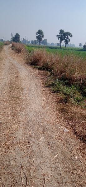 Additional image 3 of Beldari Chak, Patna