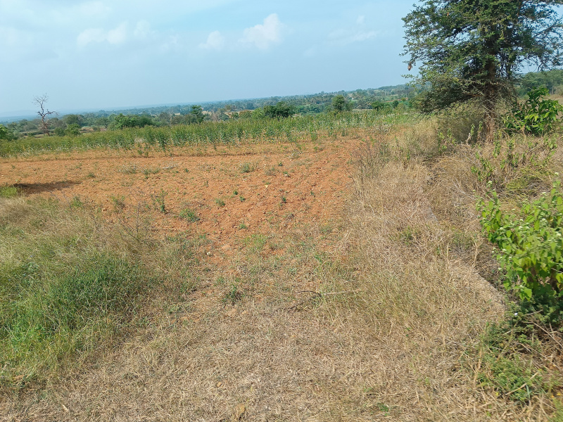 Additional image 3 of T Narasipura Road, Mysore