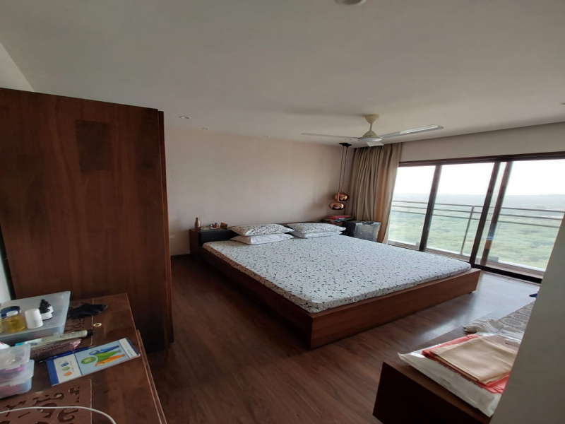 Additional image 3 of Dumas, Surat