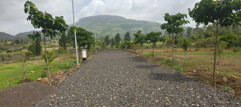 Additional image 2 of Trimbakeshwar, Nashik