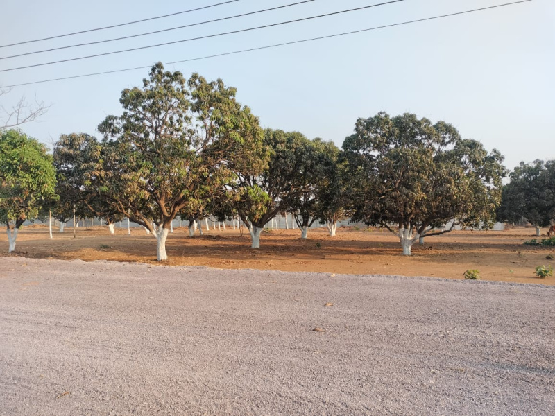 Additional image 2 of Kharora, Raipur