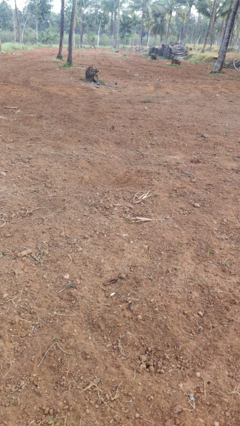 Additional image 3 of Pollachi, Coimbatore