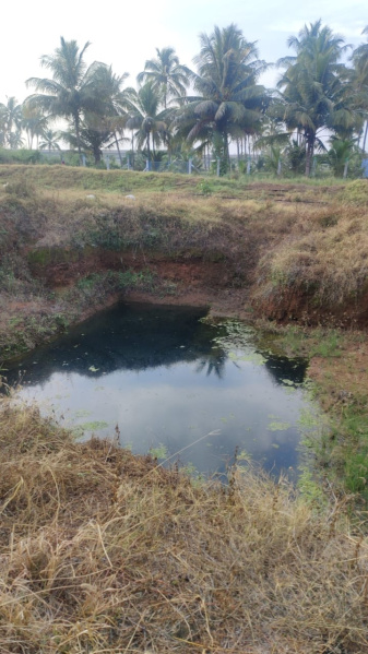 Additional image 2 of Pollachi, Coimbatore