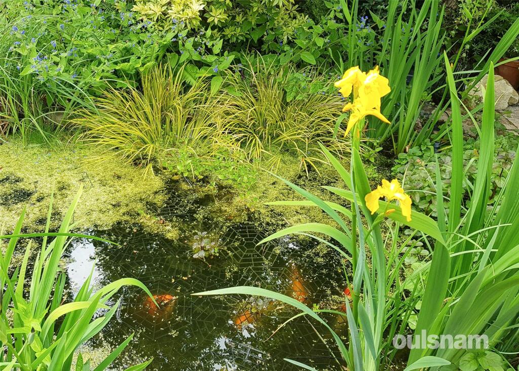 Additional image 23 of Portland Road, Birmingham, West Midlands, B16