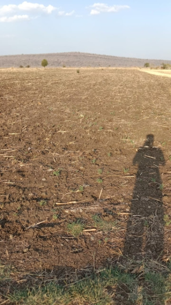 Additional image 3 of Huzur, Bhopal