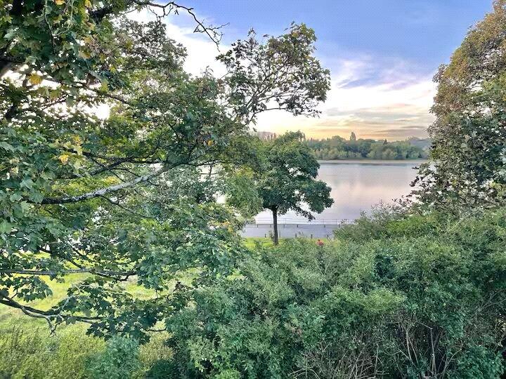 Additional image 16 of Daisy Road, Edgbaston, Birmingham, B16