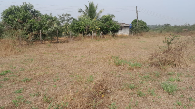 Property image for Murbad, Thane