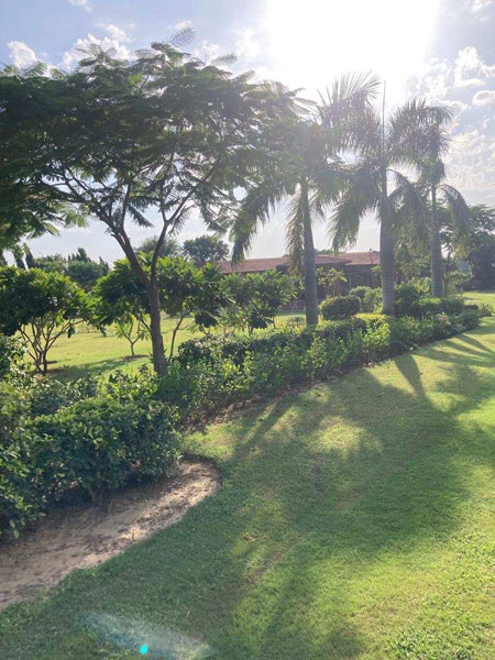 Additional image 2 of Sohna, Gurgaon