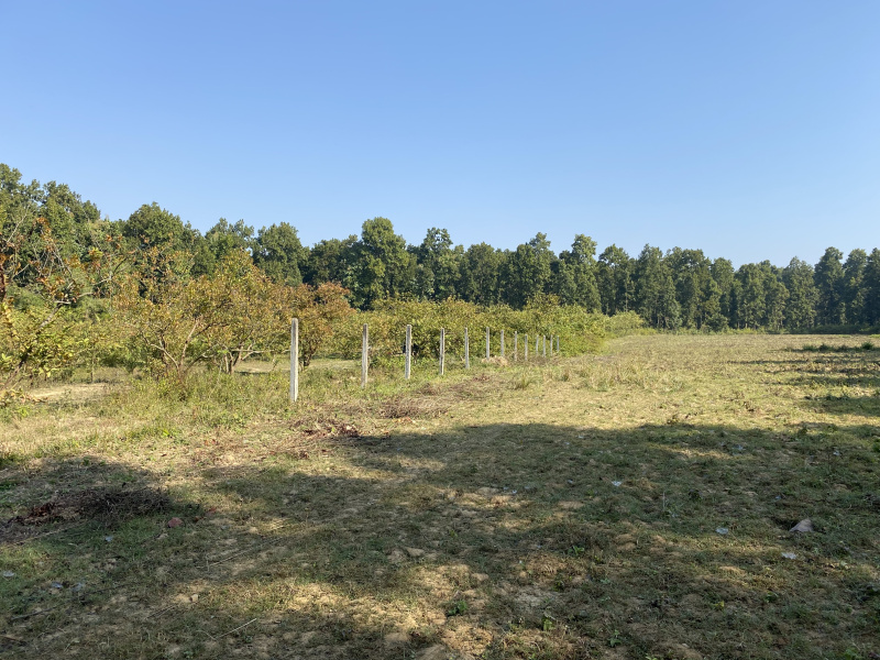 Additional image 2 of Sahaspur, Dehradun