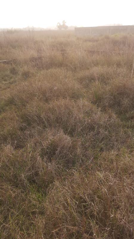 Additional image 3 of Sundarpada, Bhubaneswar