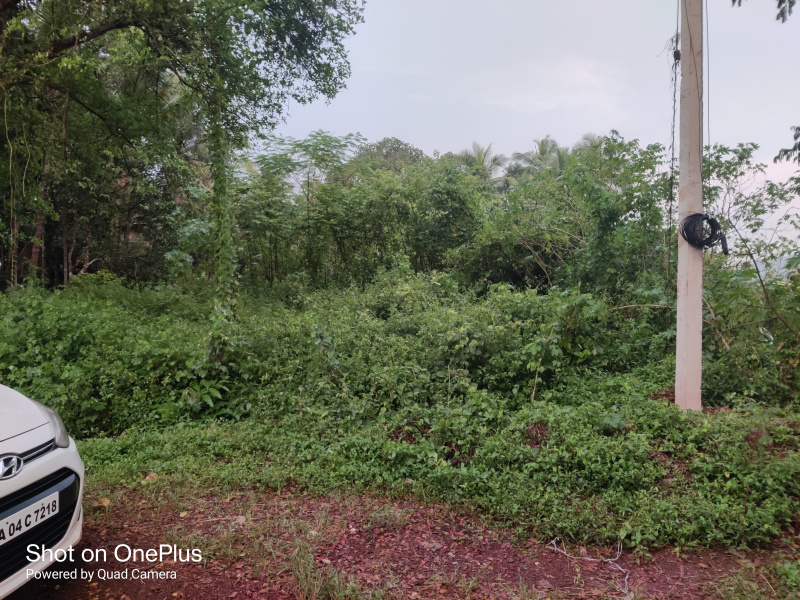 Additional image 3 of Sarvan, Bicholim, Goa