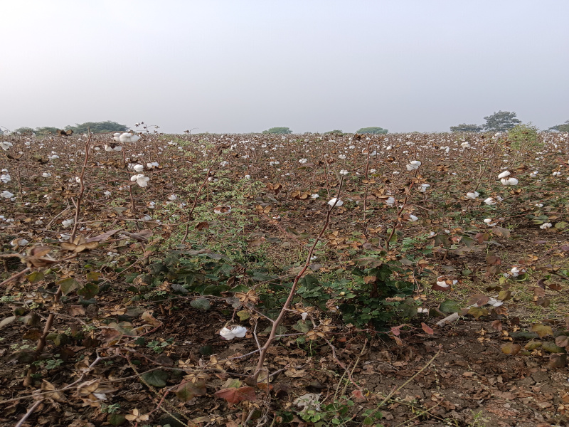 Additional image 3 of Kalameshwar, Nagpur