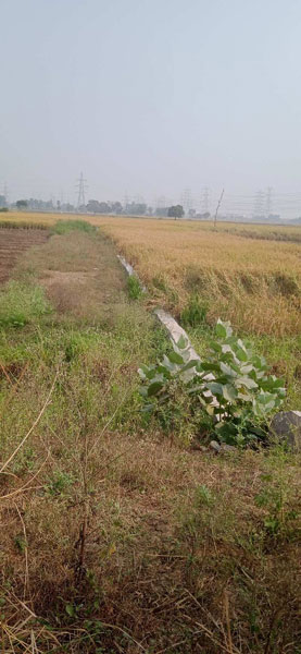 Additional image 2 of Sampatchak, Patna