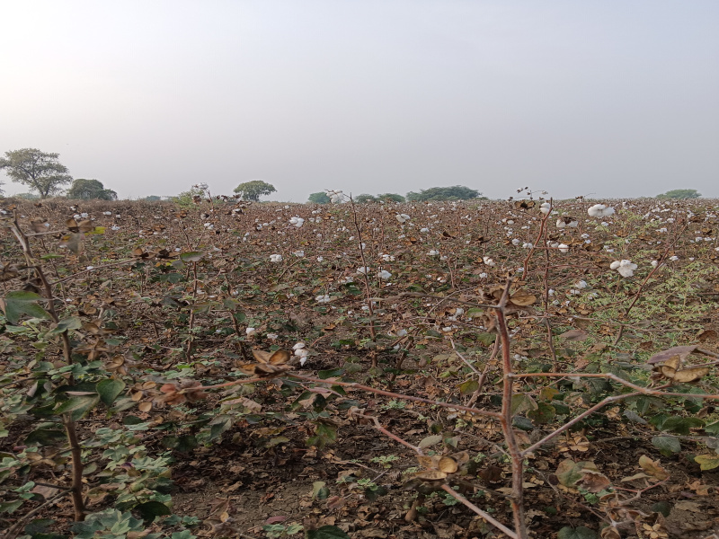 Additional image 2 of Kalameshwar, Nagpur