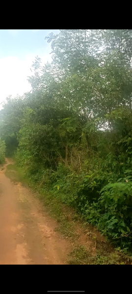 Additional image 3 of Ormanjhi, Ranchi