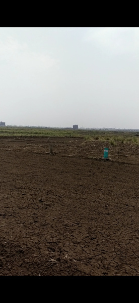 Additional image 2 of Punpun, Patna