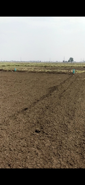 Additional image 3 of Punpun, Patna