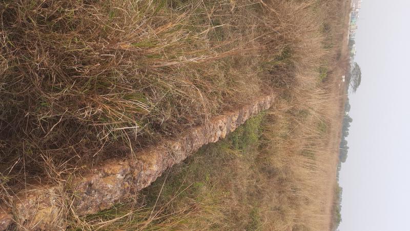 Additional image 2 of Sundarpada, Bhubaneswar