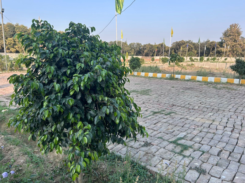 Dubbaga, Lucknow