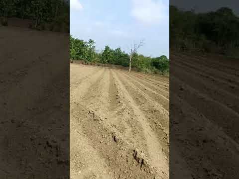 Property image for Hingna, Nagpur