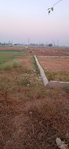 Additional image 3 of Sampatchak, Patna