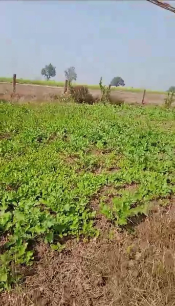 Additional image 3 of Kolar Road, Bhopal