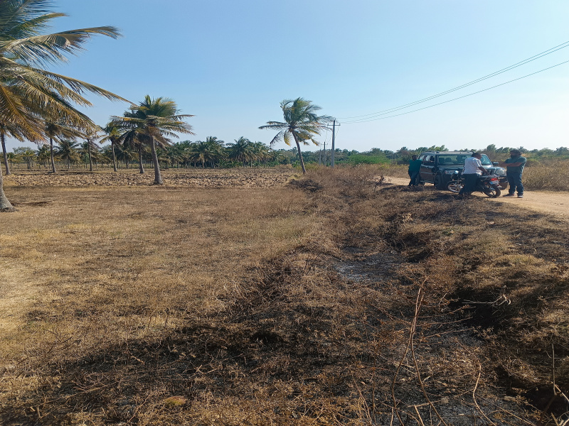 Additional image 2 of Tirumakudal Narsipur, Mysore