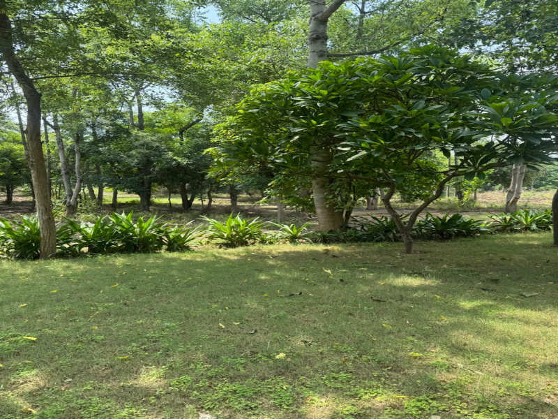 Additional image 2 of Sohna, Gurgaon