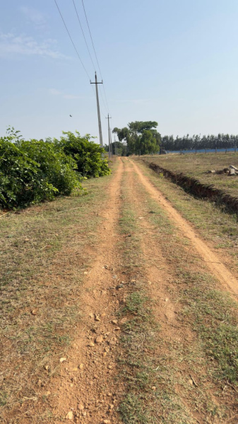 Additional image 3 of Nelamangala, Bangalore