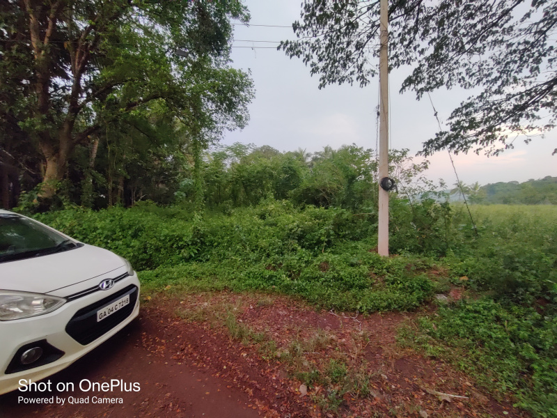 Additional image 2 of Sarvan, Bicholim, Goa