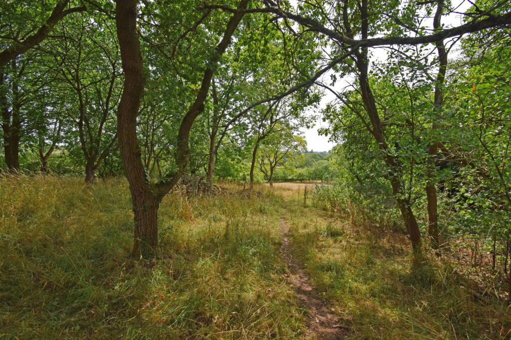 Additional image 32 of Dingleside, Yarnold Lane, Bournheath, Worcestershire, B61 9JG