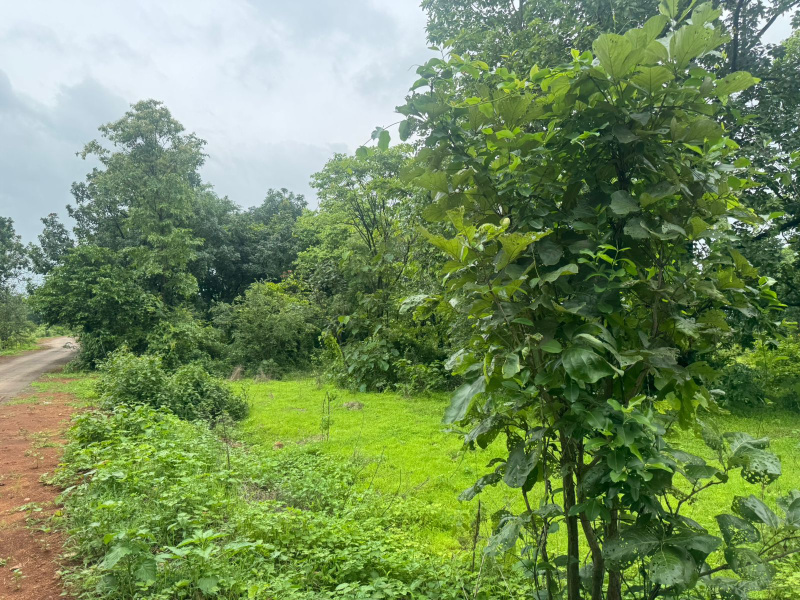 Additional image 3 of Mumbai Beyond Thane, Mumbai