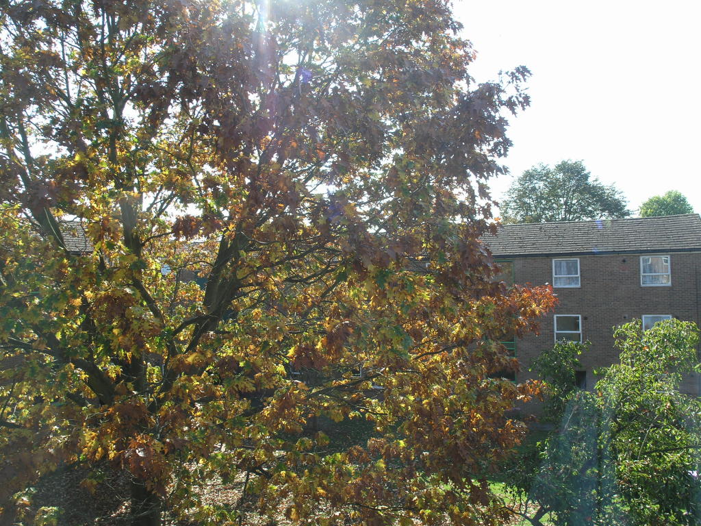 Additional image 6 of Flat 11 Dodford HouseBurcot Lane,Bromsgrove,B60 1AQ
