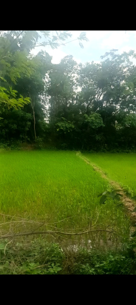 Additional image 2 of Ormanjhi, Ranchi