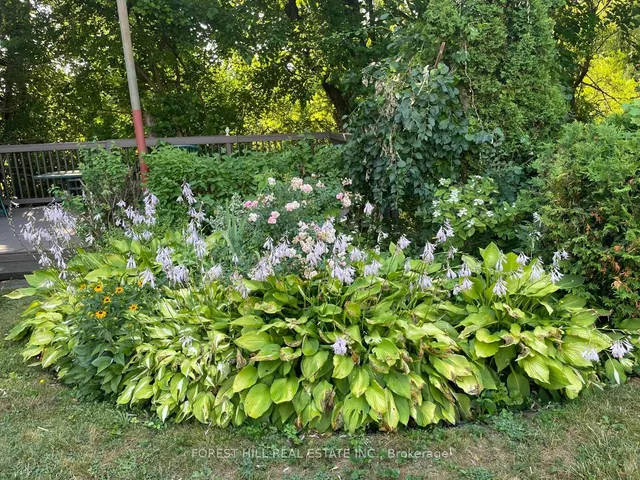 Additional image 26 of 27 Fitzgibbon Ave