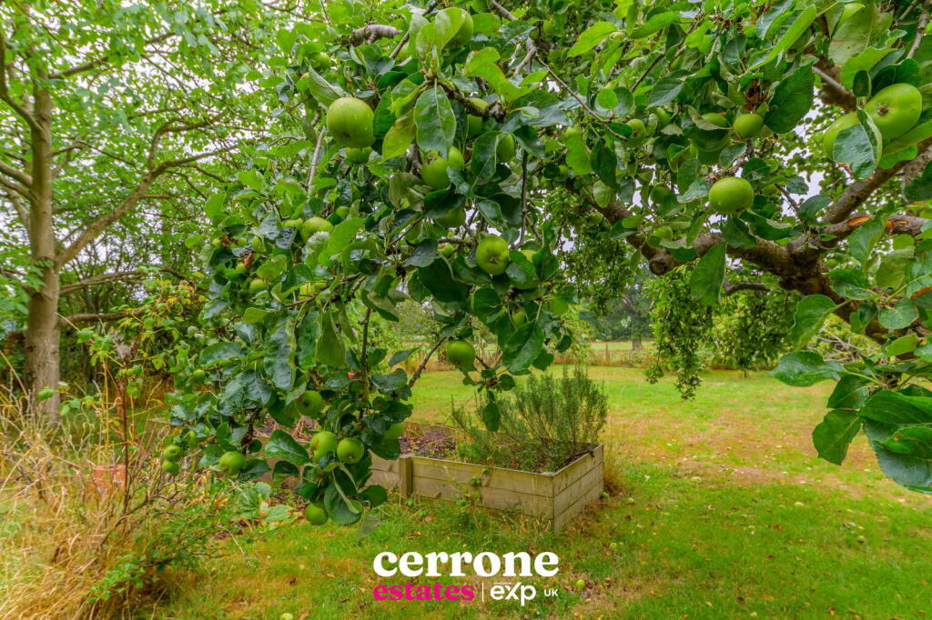 Additional image 26 of Birmingham Road, Redditch, B97 6RH