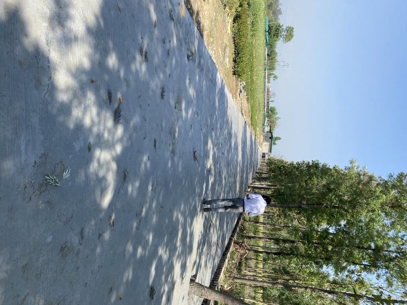 Additional image 3 of Shimla Bypass Road, Dehradun