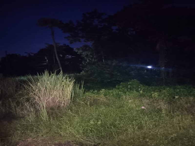 Property image for Elamkunnapuzha, Kochi