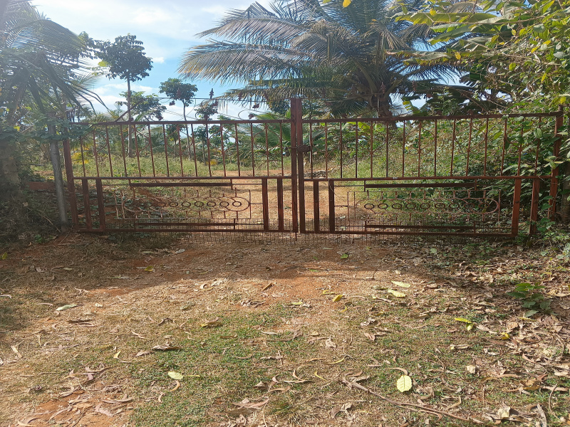 Additional image 2 of T Narasipura Road, Mysore