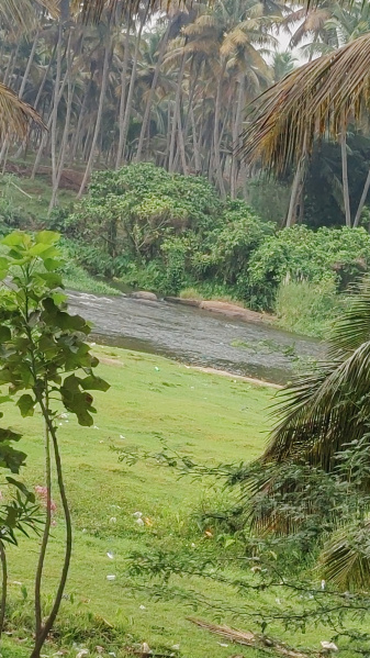 Additional image 3 of Pollachi, Coimbatore