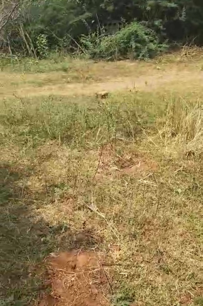 Additional image 3 of Kapuluppada, Visakhapatnam