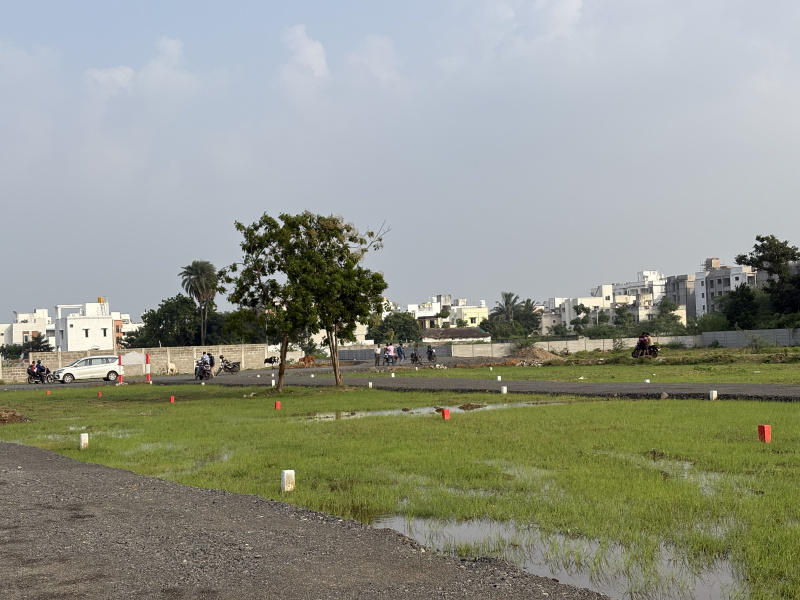 Paruthippattu, Chennai