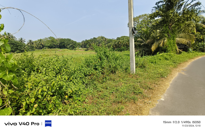 Additional image 3 of Colva, South Goa, Goa