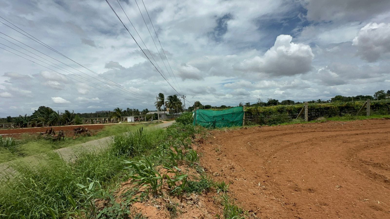 Additional image 3 of Doddaballapur, Bangalore