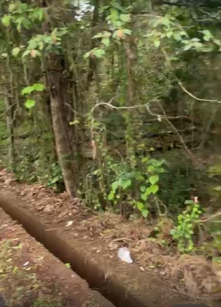 Additional image 2 of Nachinola, North Goa, Goa