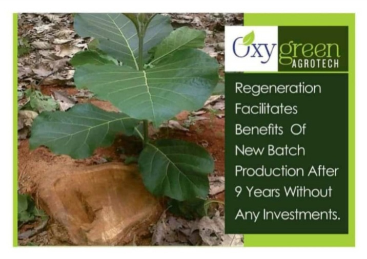 Additional image 2 of Butibori, Nagpur