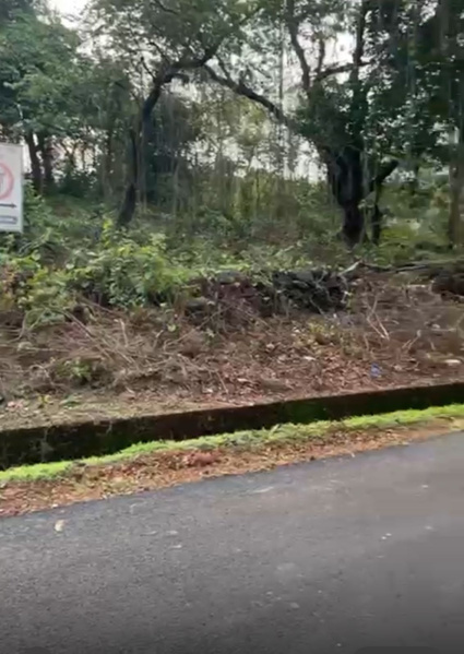 Additional image 3 of Nachinola, North Goa, Goa